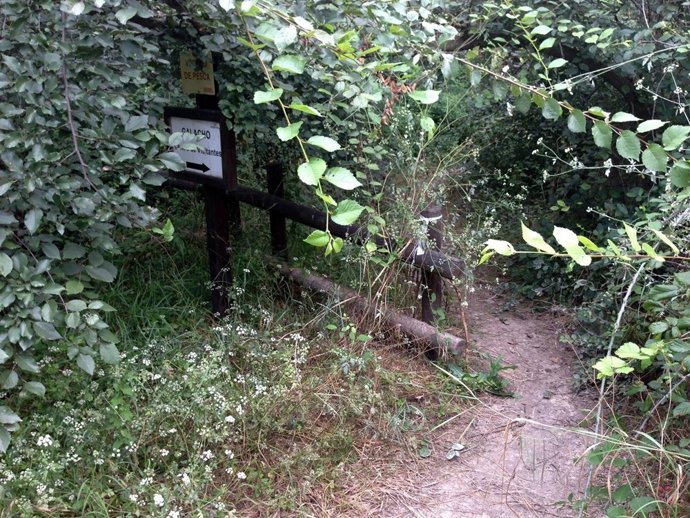 El PP lamenta el estado de abandono de algunos senderos del Galacho de Juslibol