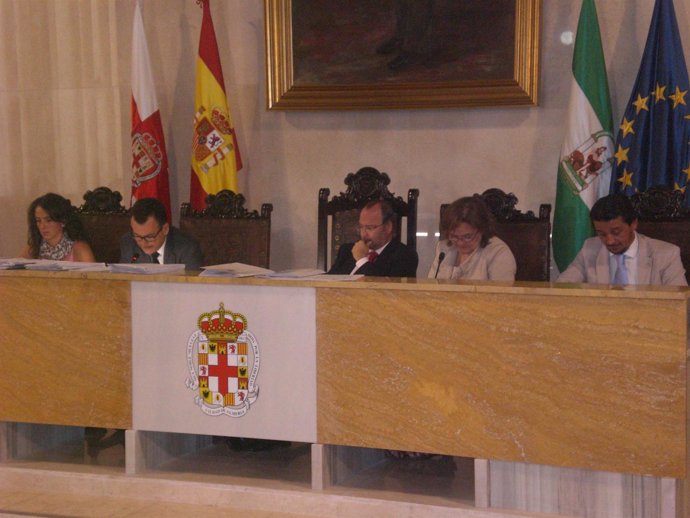 Presidencia del pleno del Ayuntamiento de Almería