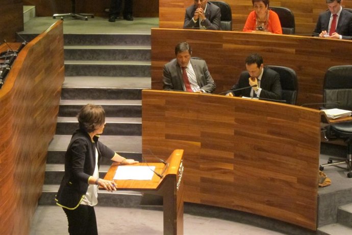 Dolores Carcedo, en el pleno