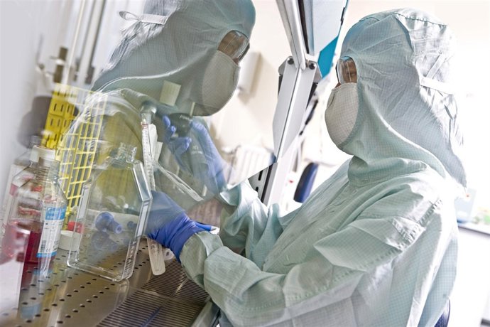 Células madre, laboratorio