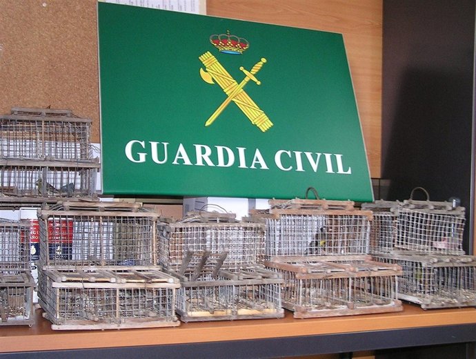 Jaulas incautadas por la Guardia Civil