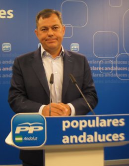 El secretario general del PP-A, José Luis Sanz, hoy en rueda de prensa