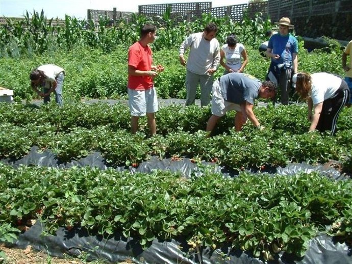 Alumnos de escuelas de capatación agraria
