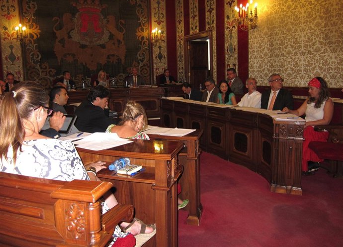 Pleno ordinario de Alicante