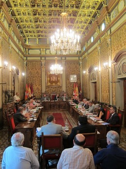 Pleno en la Diputación de Salamanca