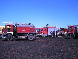 Efectivos que han participado en el incendio de Noviercas