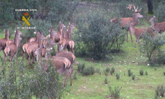 Vídeo de la noticia