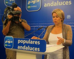 Teresa Ruiz-Sillero, hoy en rueda de prensa