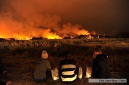 Incendio en Reserva Ecológica de Buenos Aires