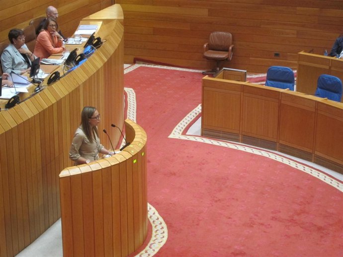 Pleno Techo De Gasto