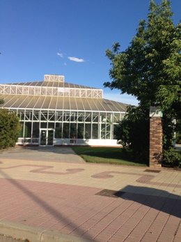 El invernadero que en Alcobendas pronto será un mercado similar a San Miguel