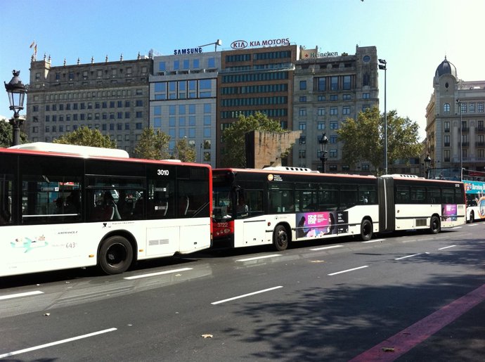 Autobuses