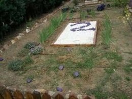 Actos vandálicos El Casar