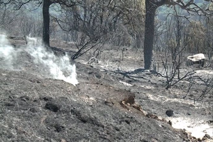 Rebajan a nivel 1 la alerta del fuego de Cebreros (Ávila)