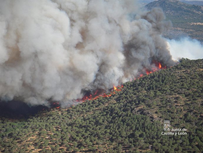 Incendio declarado este sábado en Cebreros (Ávila)