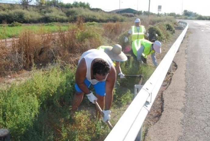 Trabajadores en el campo