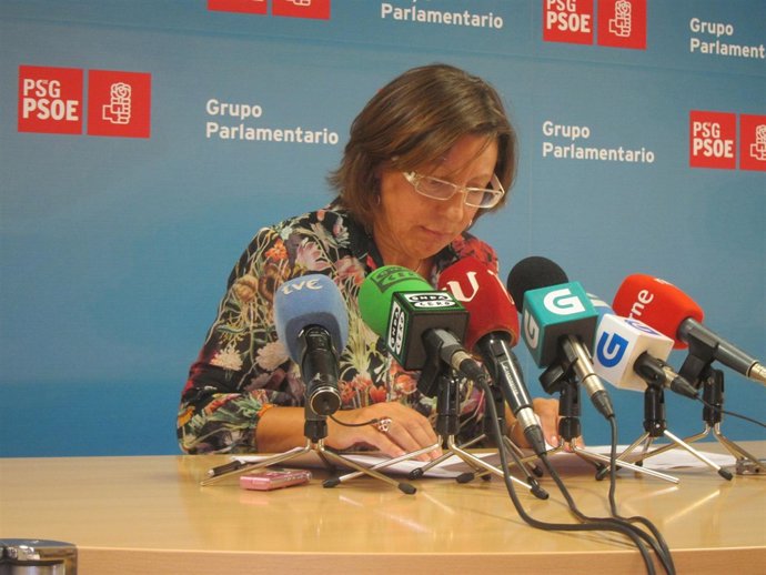 La diputada socialista Carmen Gallego