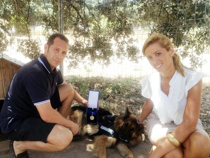 Ajax el perro Guardia Civil