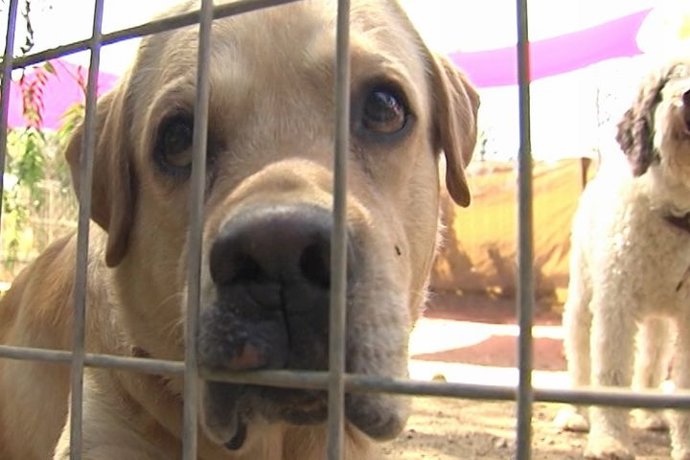 Vídeo de la noticia