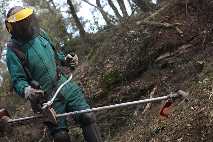 Personas en riesgo de exclusión trabajarán en un programa de La Caixa