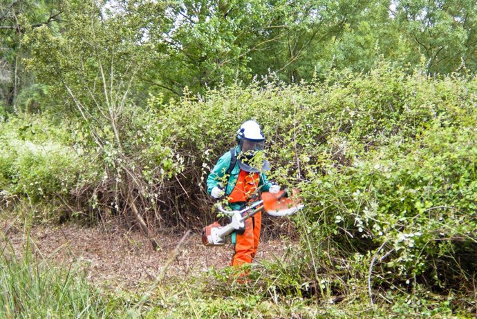 Una de las personas beneficiarias del programa de inserción laboral