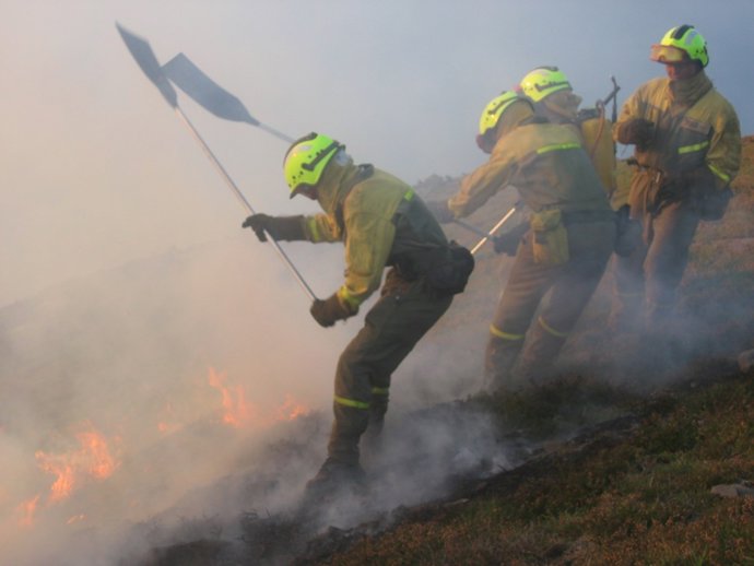 Brigadas terrestres durante las labores de extinción 