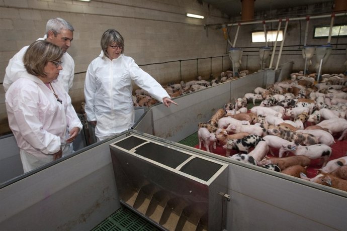 La conselleira Rosa Quintana visita una explotación en O Pino.