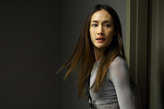 'Nikita', La Serie