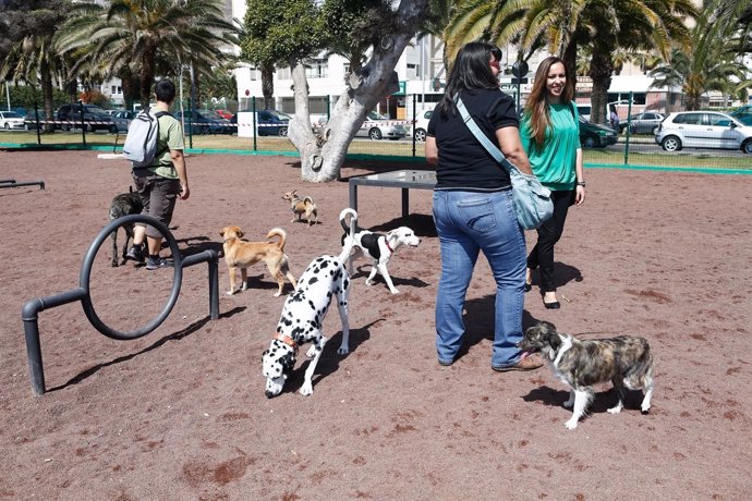Parque para perros en Las Palmas de Gran Canaria