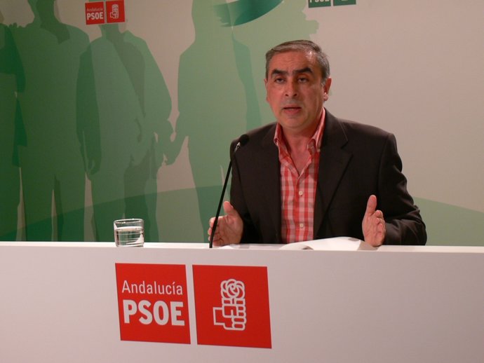 El diputado socialista José Martínez Olmos
