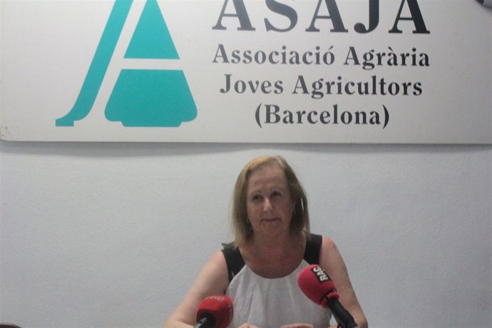 Pruna, presidente de Asaja, explica la cosecha de cereales de 2013