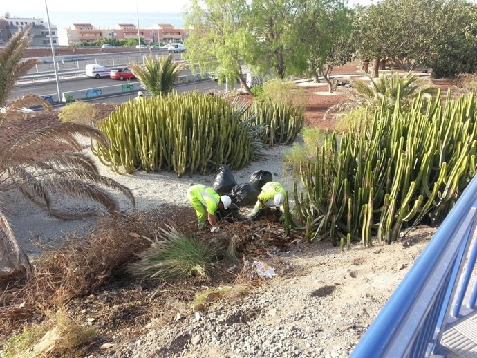 Limpieza de los accesos a Candelaria