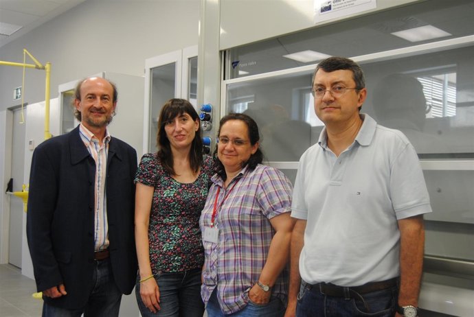 Expertos responsables de la investigación