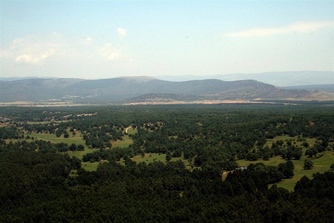 Monte De Valonsadero