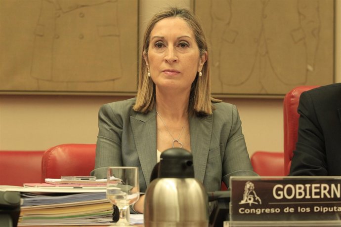 Pastor en la comisión por el accidente de Santiago