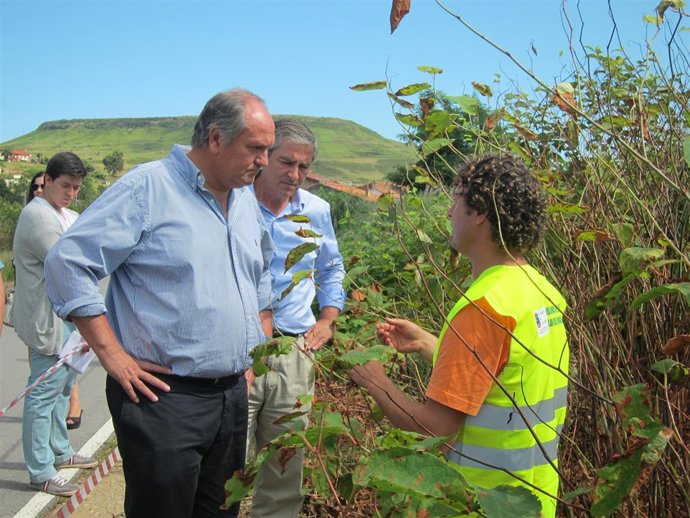 Visita a los trabajos de recuperación