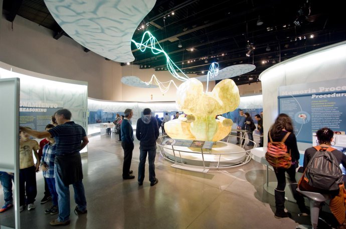 Exposición del Cerebro en el Parque de las Ciencias de Granada