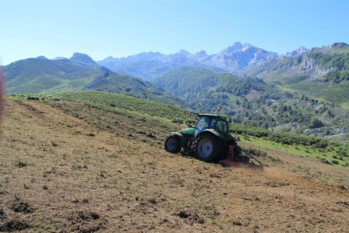 Trabajos de desbroce en Picos de Europa.