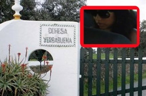 LA TETRICA HISTORIA DE LA COMPRADORA DE YERBABUENA