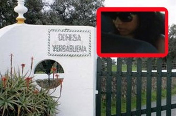 LA TETRICA HISTORIA DE LA COMPRADORA DE YERBABUENA