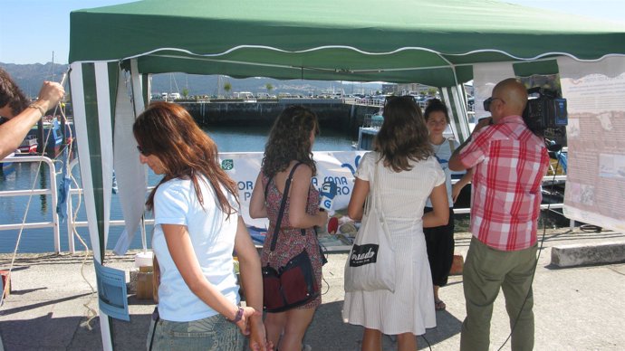 Carpa de Ecologistas en Acción en el Puerto de Muros