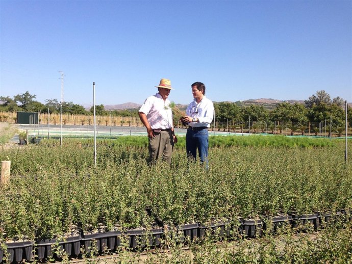 Juan Jesús Bernal visita el vivero provincial 