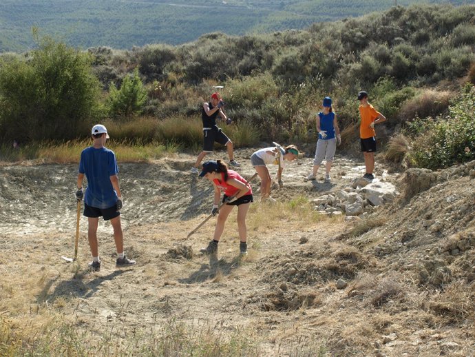 Uno de los campos de trabajo
