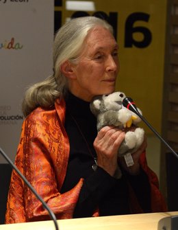 Jane Goodall en su visita al Museo de la Evolución Humana