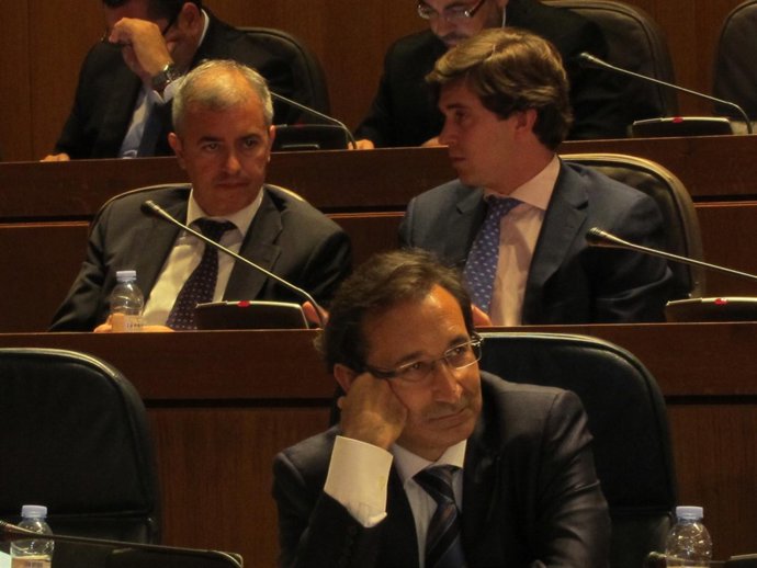 El consejero José Luis Saz en el pleno