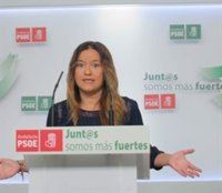 PSOE-A define a Arenas como "el cordón umbilical" y le pide que sea "honesto y arroje luz" en su declaración