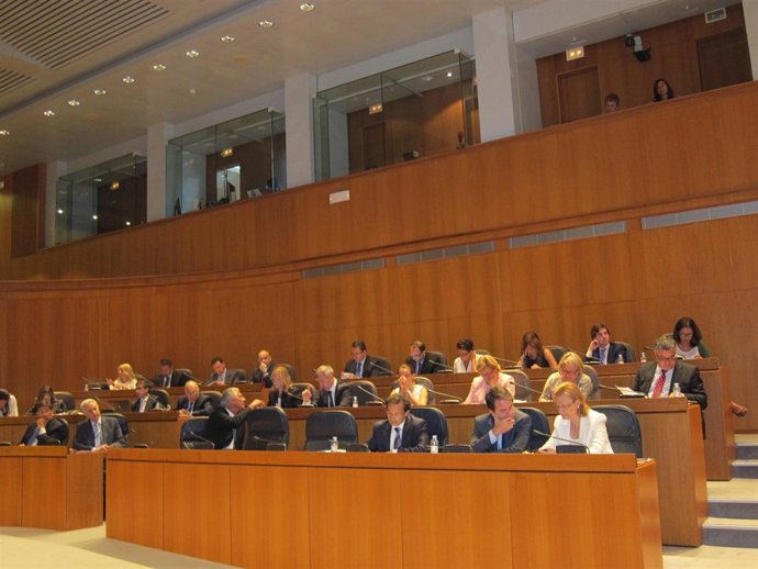 Las Cortes han celebrado pleno extraordinario