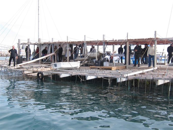 Batea para la cría de 'clotxinas' en el puerto de Valencia