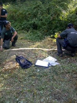 Pitón albina aplastada por un tractor en Riells