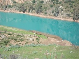 Aguas del río Agrio teñidas de azul a cuenta de la contaminación.
